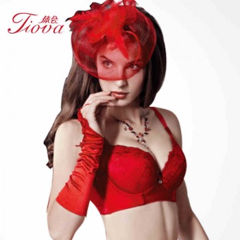 体会内衣BQ0681 薄模杯款聚拢收副乳调整型胸罩性感刺绣蕾丝文胸