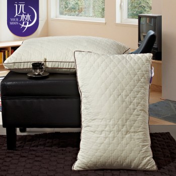 远梦家纺大豆亲肤枕芯 单双人枕头芯