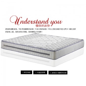 梦可依 威尼斯(高密度透气绵加棕) 硬棕垫薄床垫棕垫 双人棕榈垫