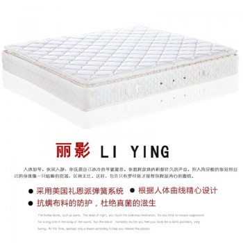 梦可依 丽影（高密度海绵）零压力慢回弹记忆棉