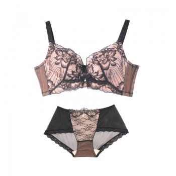 体会内衣BSK194-1 秋冬新品透肤性感蕾丝薄模杯款超聚拢调整型