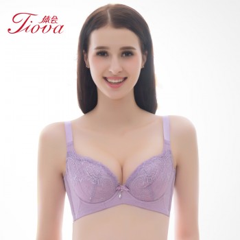 体会内衣BQ0893 性感睫毛蕾丝薄模杯款大码胸罩聚拢五排扣调整型美背文胸