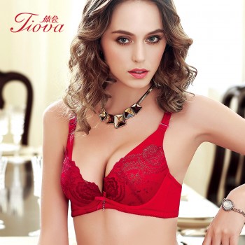 体会内衣BS0982 商场同款奢华刺绣内衣全棉杯里小胸厚款超聚拢调整调整型文胸