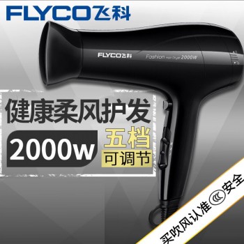 飞科FH6231大功率吹风机冷热风恒温负离子电吹风2000W