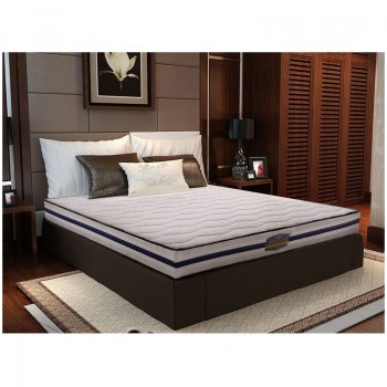 梦可依鸥鸟3E椰梦维云循环系统天然环保椰棕床垫席梦思