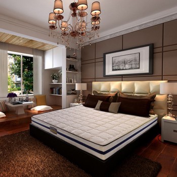 梦可依筑梦（天然椰棕）环保垫弹簧椰棕床垫 天然乳胶床垫 成人席梦思弹簧床垫