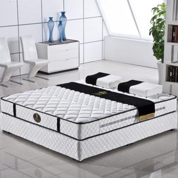 梦可依索菲亚纯天然椰棕+高密度透气绵椰棕床垫棕垫3E摩丝棕