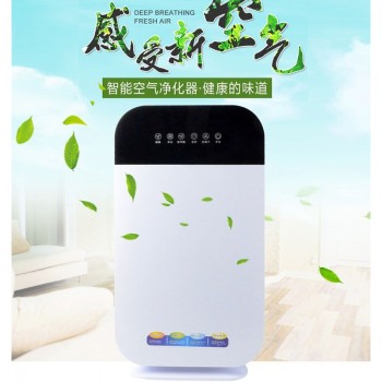 空气净化器 家用除甲醛PM2.5负离子空气净化器