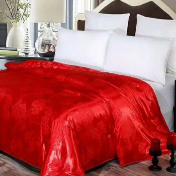 蚕丝被100%桑蚕丝春秋被子冬被芯全棉