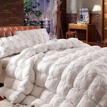 尊享羽绒被冬被春秋被90白鸭绒被加厚保暖单双人被子被芯